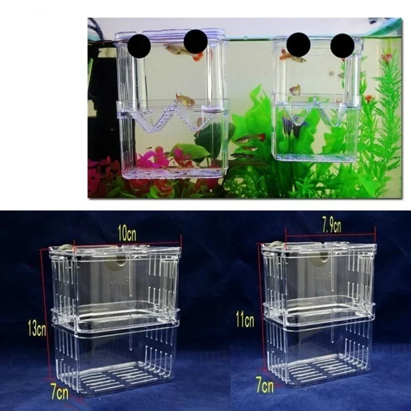 Instalación con ventosas en acuario