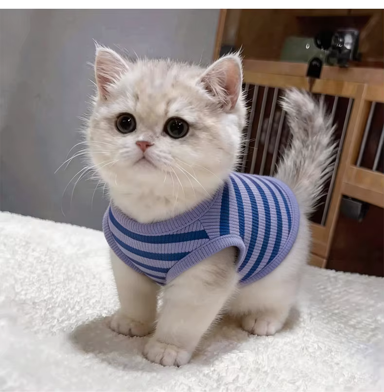 Camiseta chaleco de gofre para perros pequeños – Suave y transpirable - imagen 2