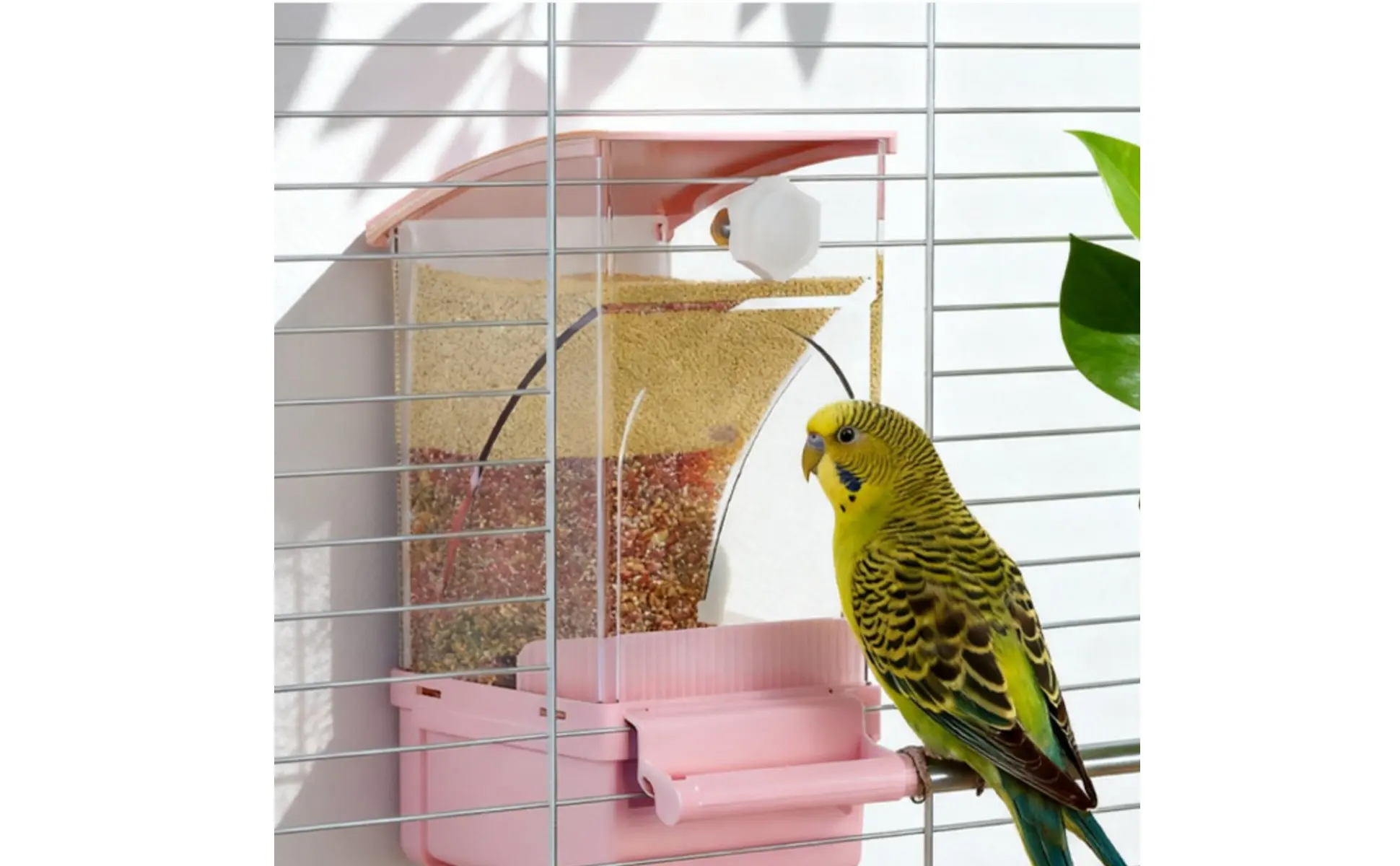 Vista frontal del comedero automático para aves con separación de cáscaras
