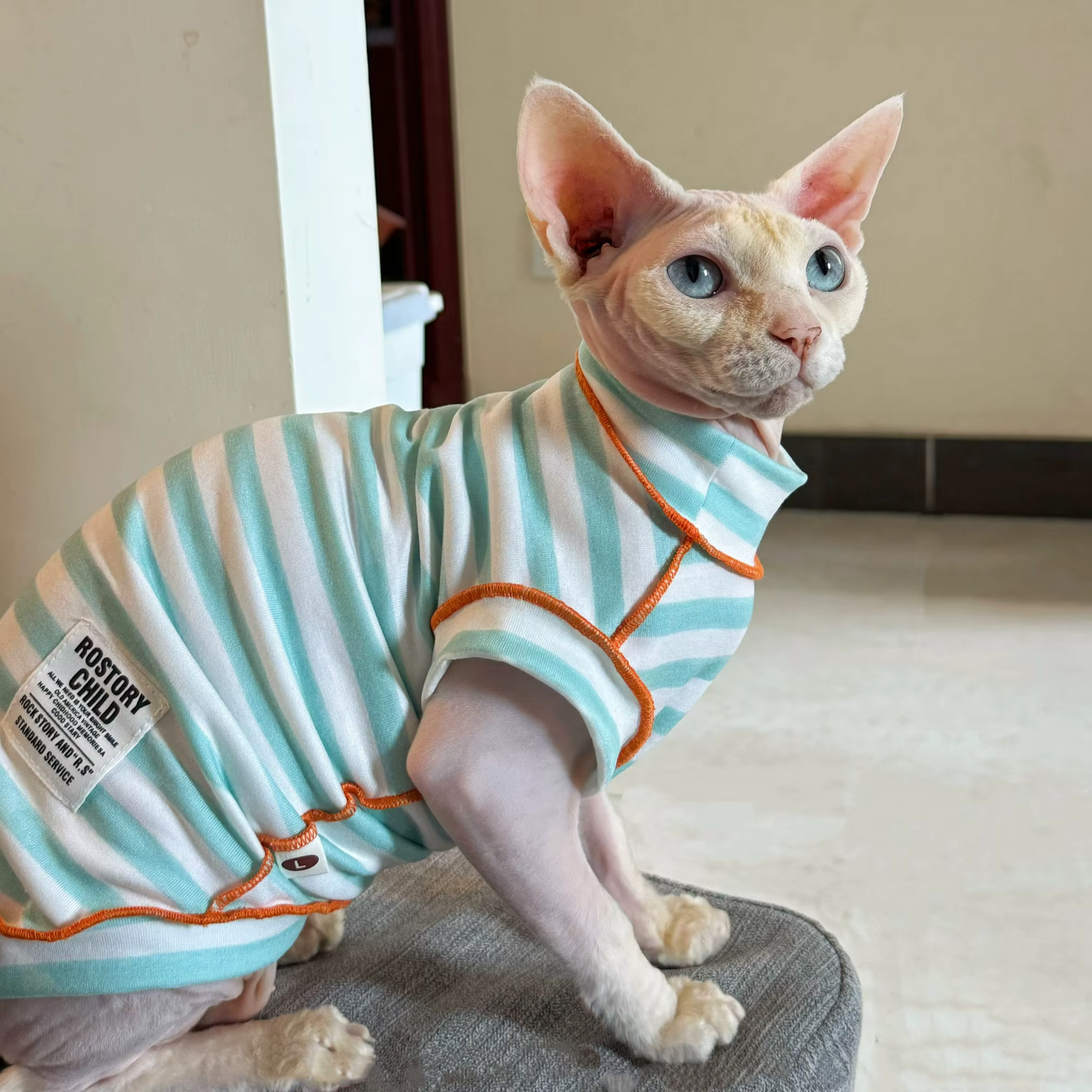 Camiseta algodón rayas para gato Sphynx sin pelo - imagen 4