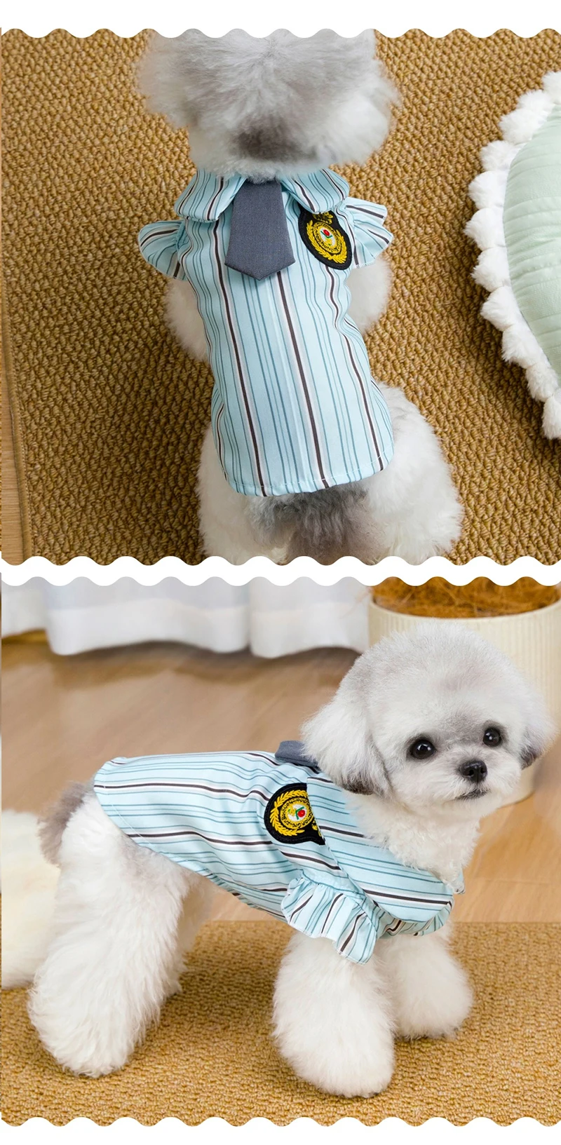 Perro pequeño usando el vestido a rayas durante un paseo