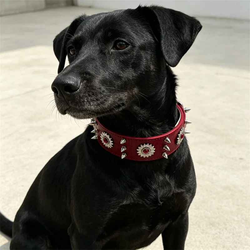 Collar con Púas para Perros y Gatos Medianos – Cuero PU Ajustable - imagen 2