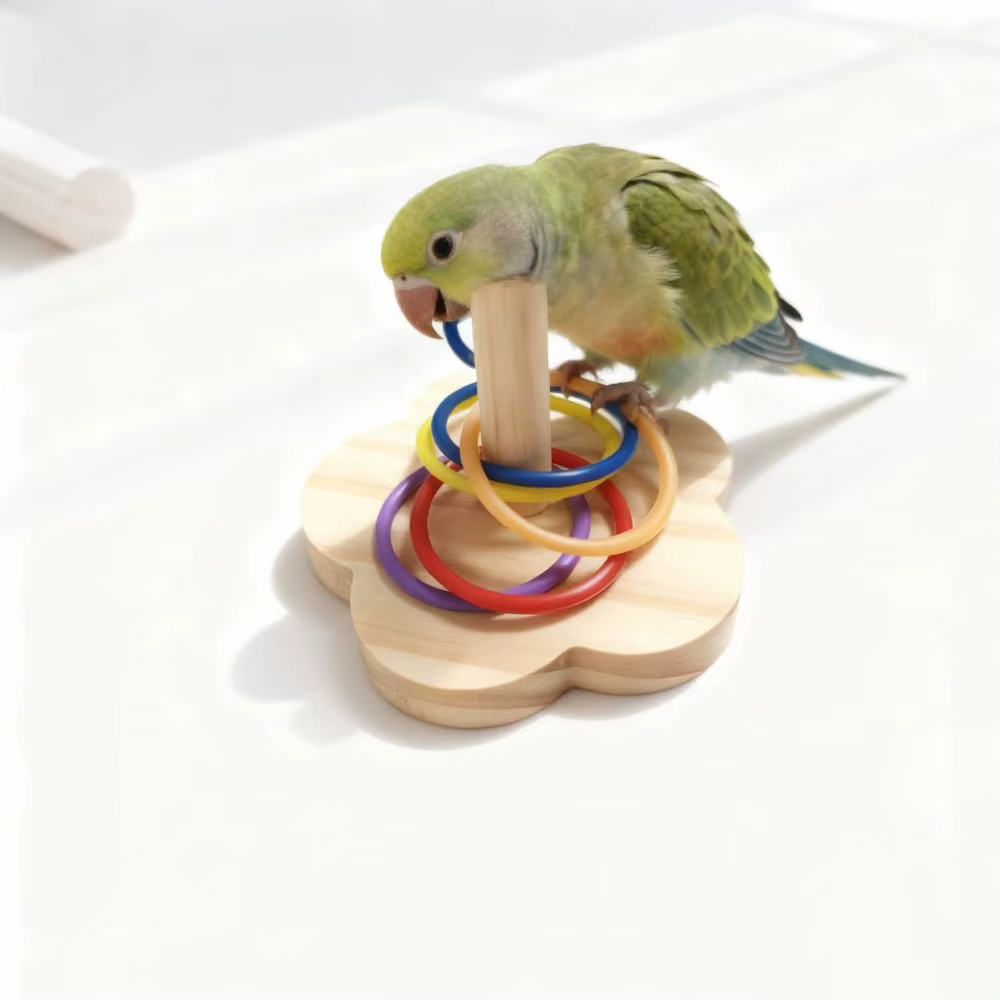 Juguete de inteligencia en madera para loros: puzzle anillos - imagen 5