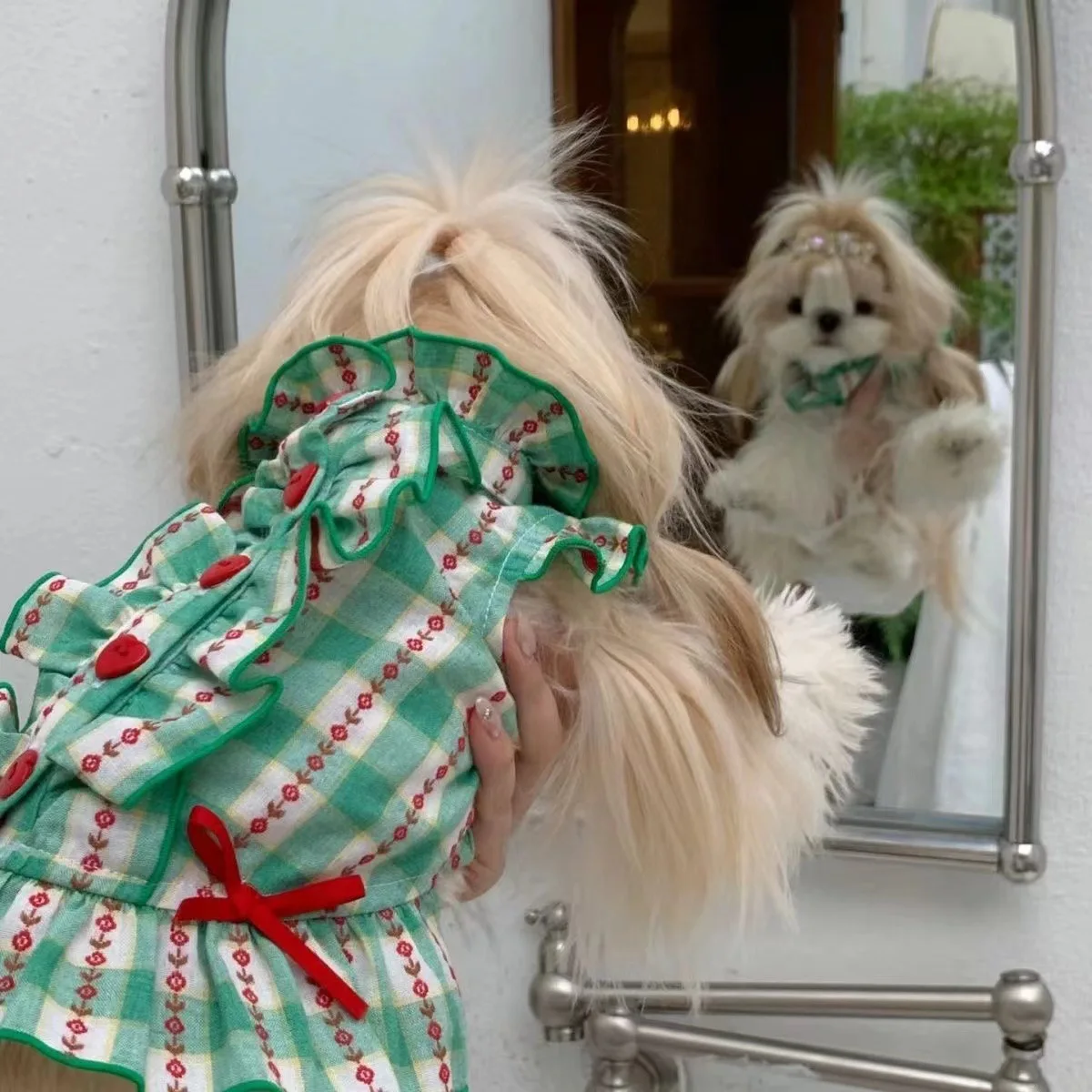Mascota vistiendo el chaleco y la corbata