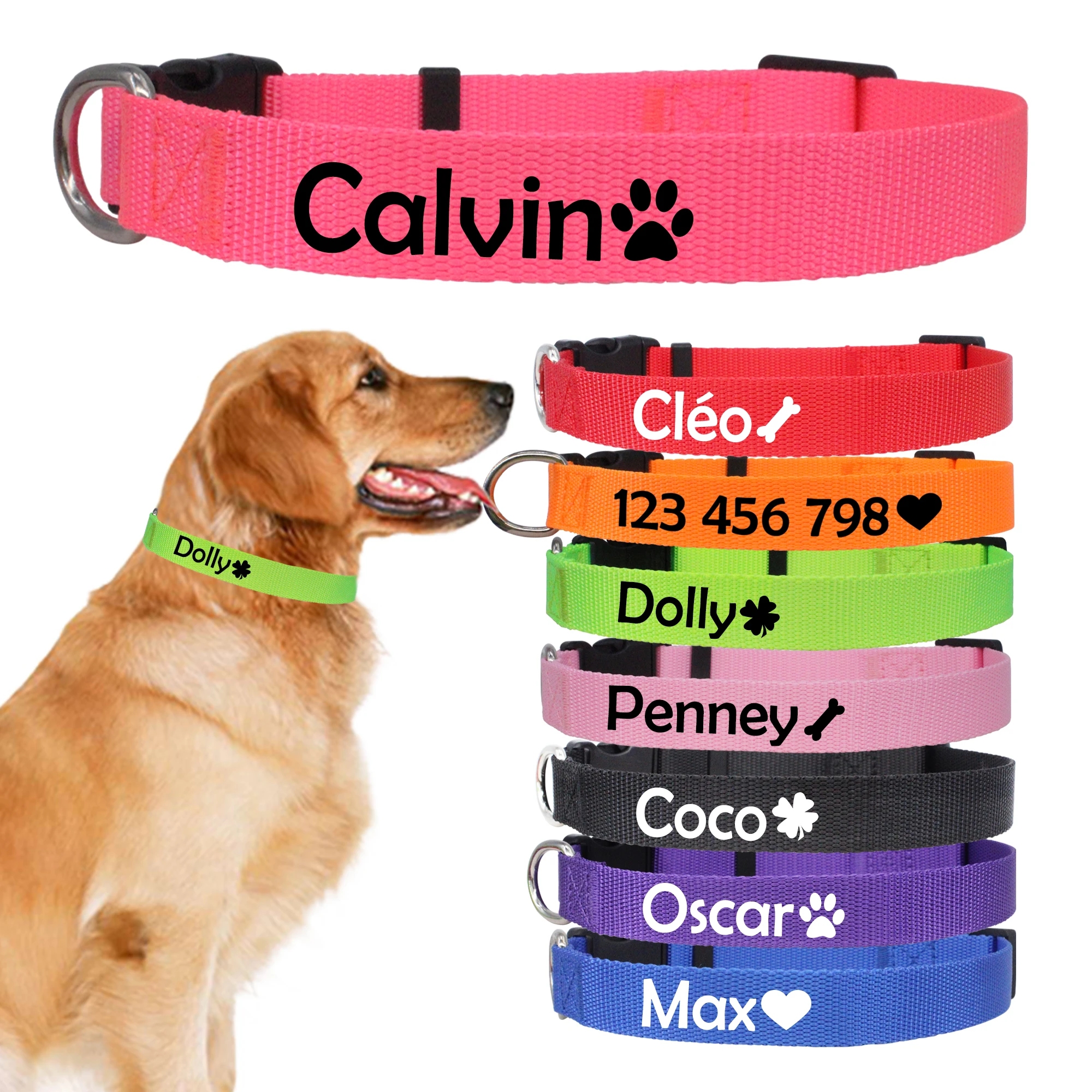 Collar identificativo para perro detalle