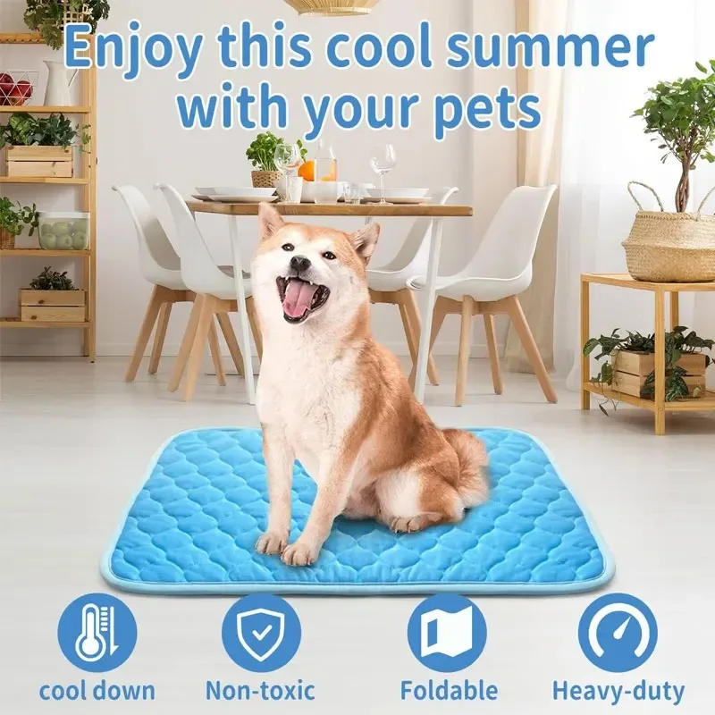 Perro sobre la alfombra en posición de descanso