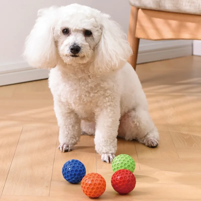 Pelota interactiva para cachorros