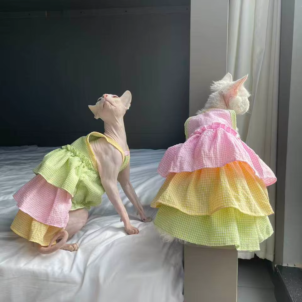 Ropa de verano para gatos Sphynx y Devon Rex: vestido algodón - imagen 5