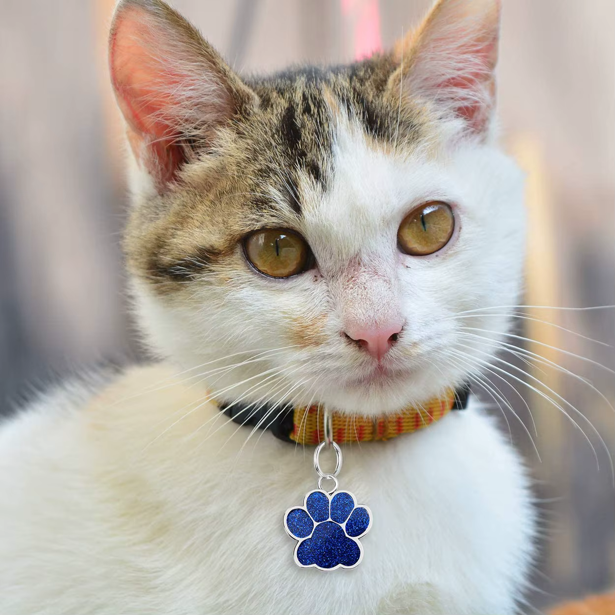 Colgante medalla identificativa con huella para perros y gatos - imagen 3