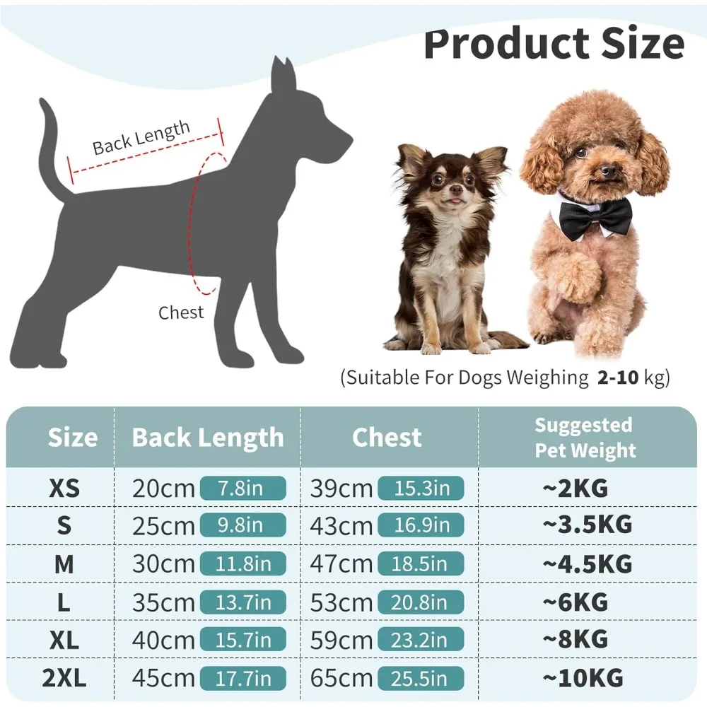 Perro protegido con impermeable cubririendo cuerpo completo