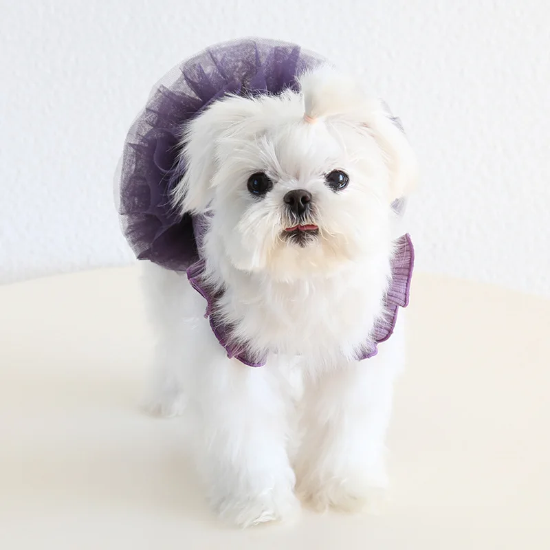 Mascota jugando cómodamente con el vestido puesto