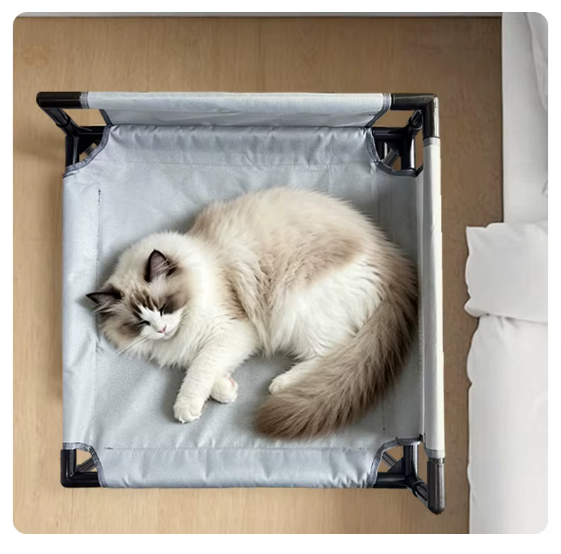 Cama baja para gatos y uso cotidiano