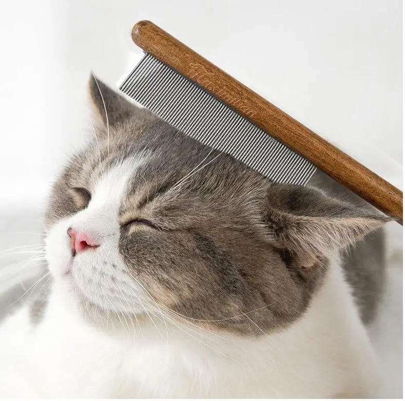 Cardador para gatos de pelo largo