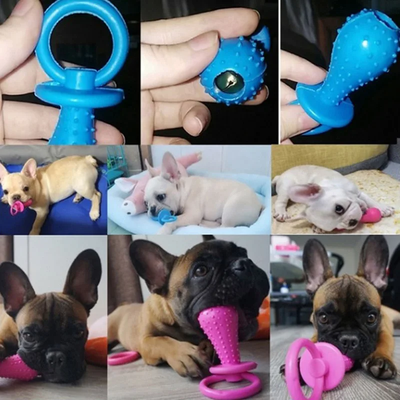 Perro pequeño jugando con el juguete que hace sonido