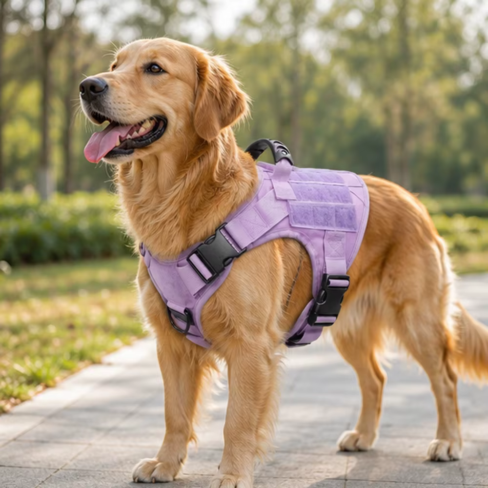 Arnés Táctico Morado para Perro con Asa y Correa Elástica – Ajustable - imagen 3