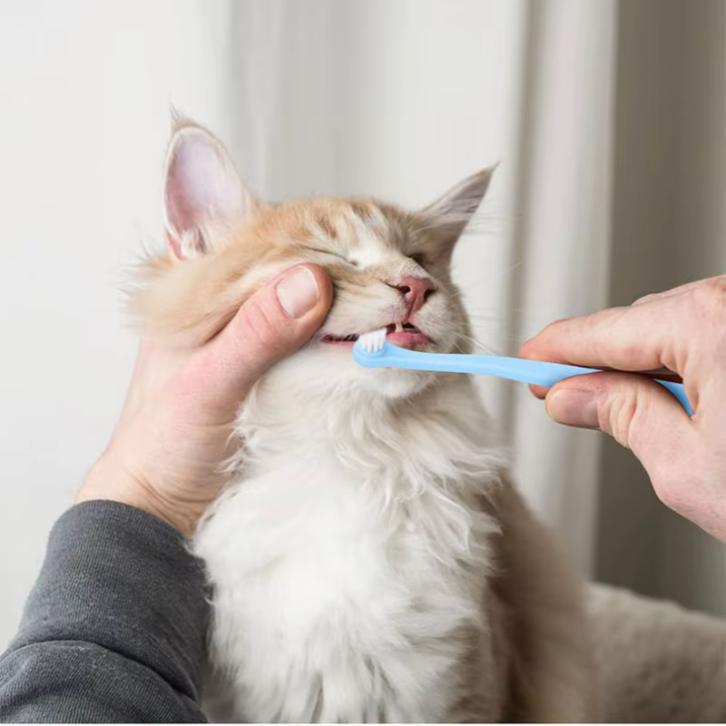 Cepillo Dental Pequeño para Perros y Gatos – Limpieza Bucal Mascotas - imagen 2