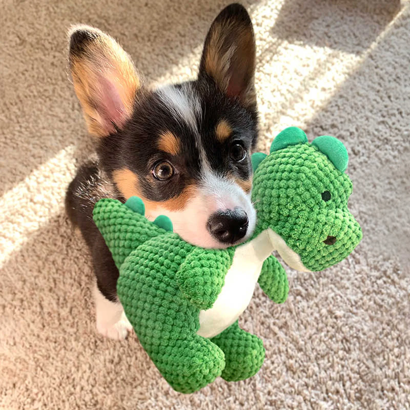 Juguete de dinosaurio para perros en primer plano