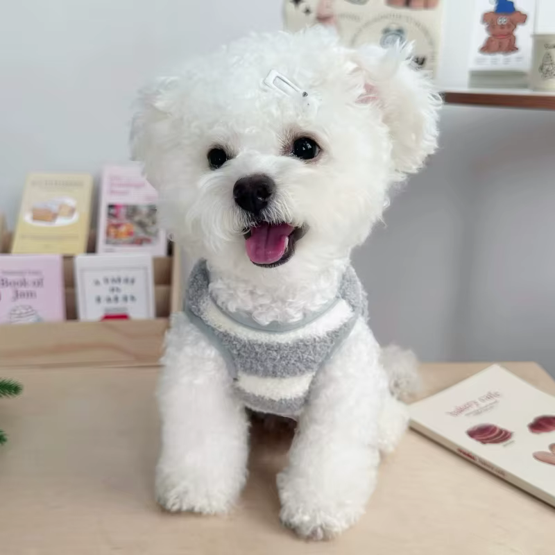 Chaleco de lana a rayas para perro y gato – Sudadera con capucha