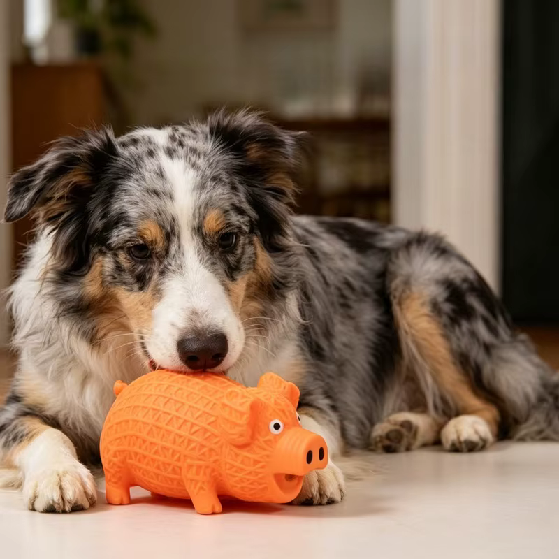 Juguete para masticar con pelota chirriante de perros, cuidado dental - imagen 2