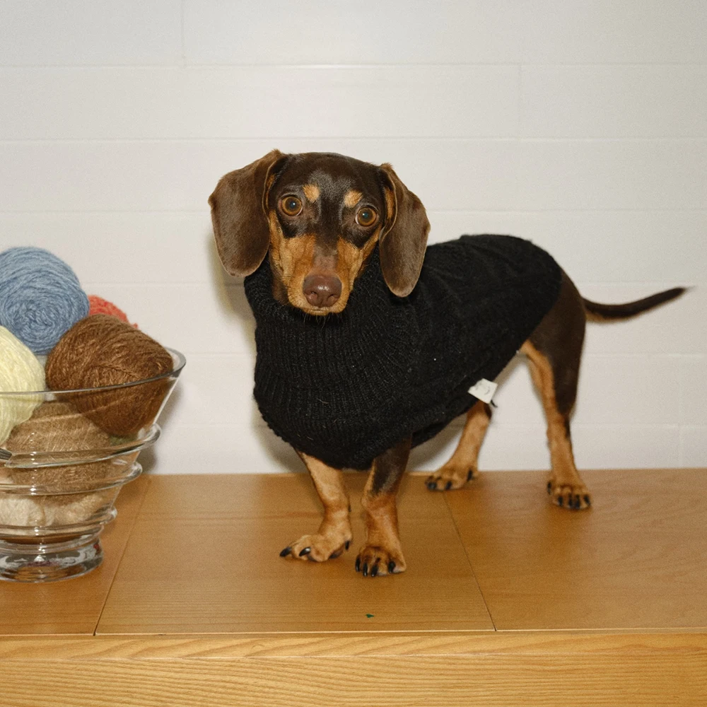 Abrigo de invierno para perros salchicha: suéter manga larga - imagen 4