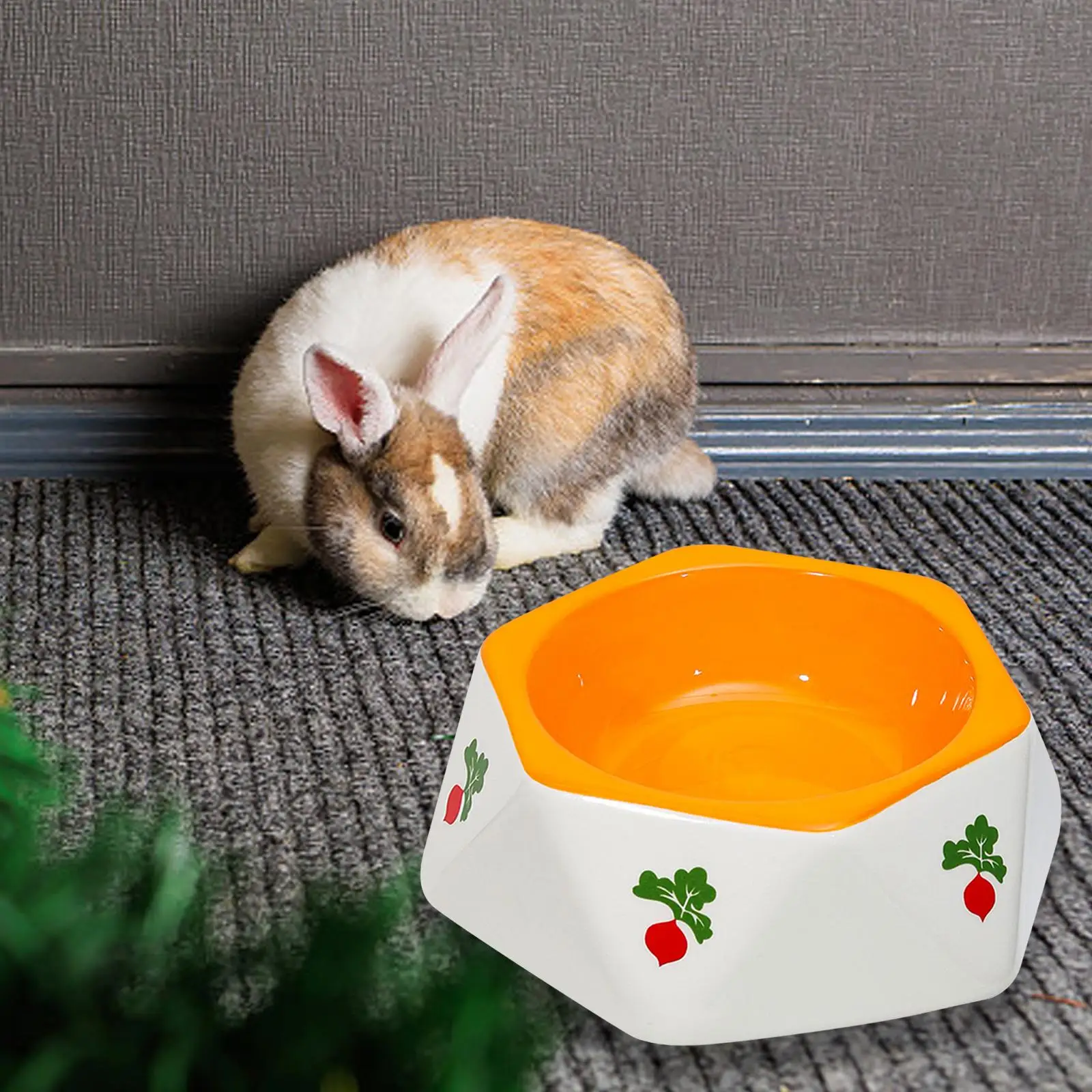 Cuenco grande de 14.5cm para perros y gatos