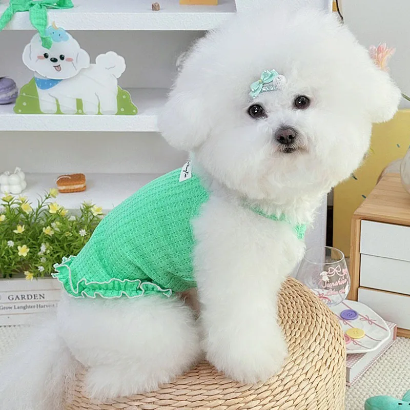 Chaleco verano perro con capucha y tirantes: Chihuahua y Bichón - imagen 3