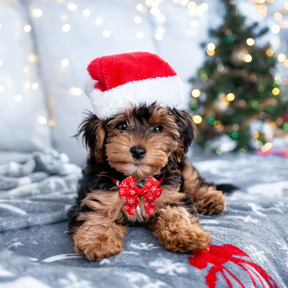Pack lazos ajustables para perros – Accesorios de invierno y Navidad - imagen 5