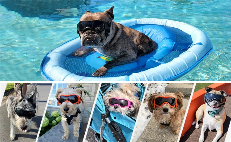 Gafas de sol para perros con montura suave