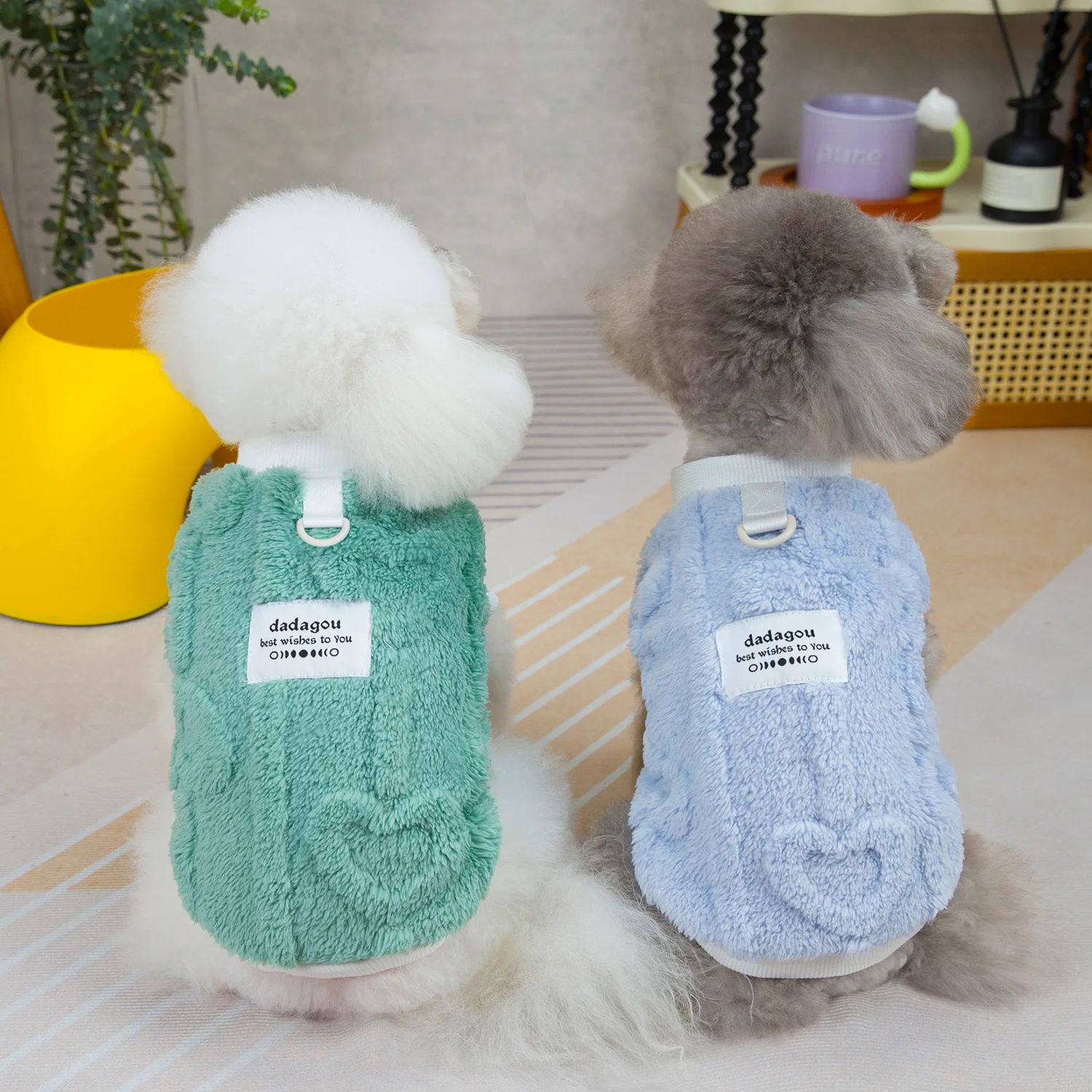 Perrito Shih Tzu luciendo el traje en interior