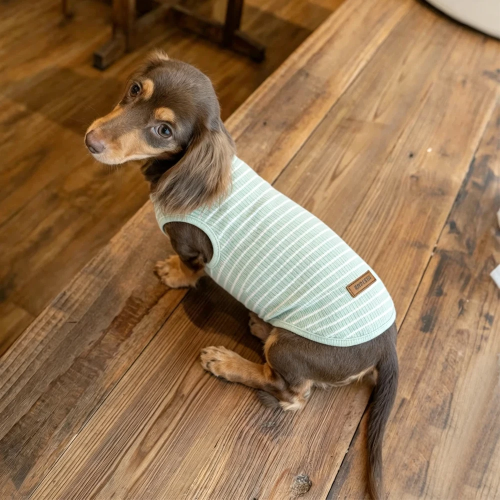 Chaleco de algodón a rayas para perro salchicha