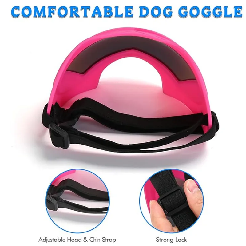 Gafas de sol para perros grandes en uso