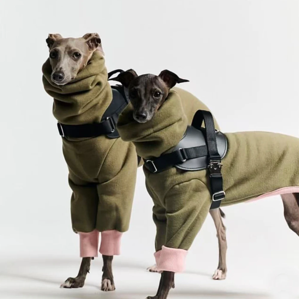 Pijama de invierno para Whippet