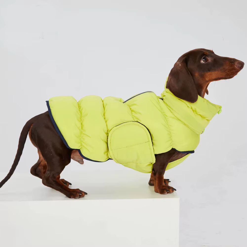 Chaqueta cortavientos para teckel | Abrigo térmico fácil de poner - imagen 2