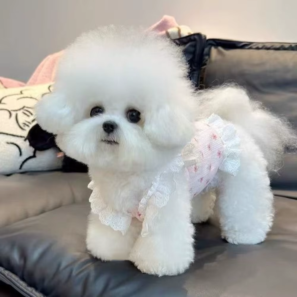 Vista trasera de la falda para cachorros