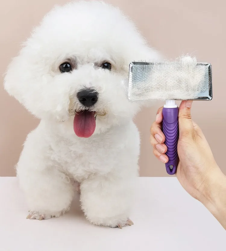 Detalle de los dientes largos del peine para gato
