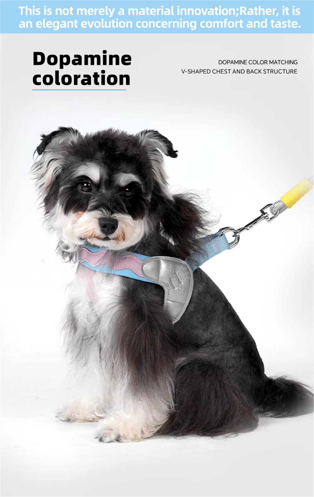 Arnés de paseo para Yorkie y Schnauzer