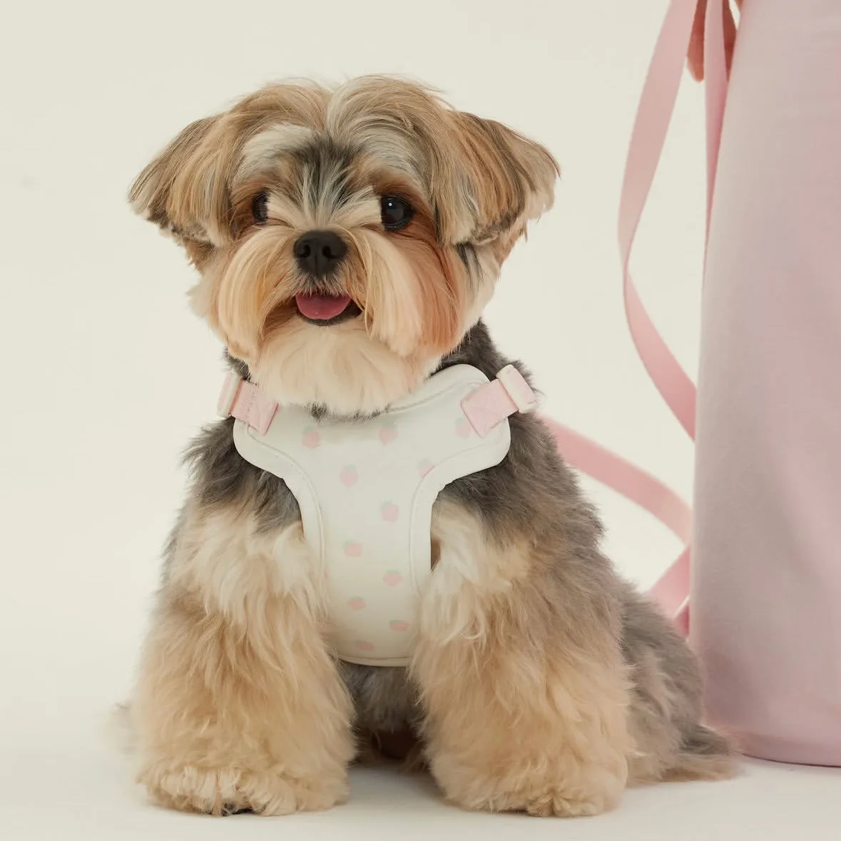 Arnés osito y fresa para perro pequeño – Correa de pecho ajustable - imagen 5