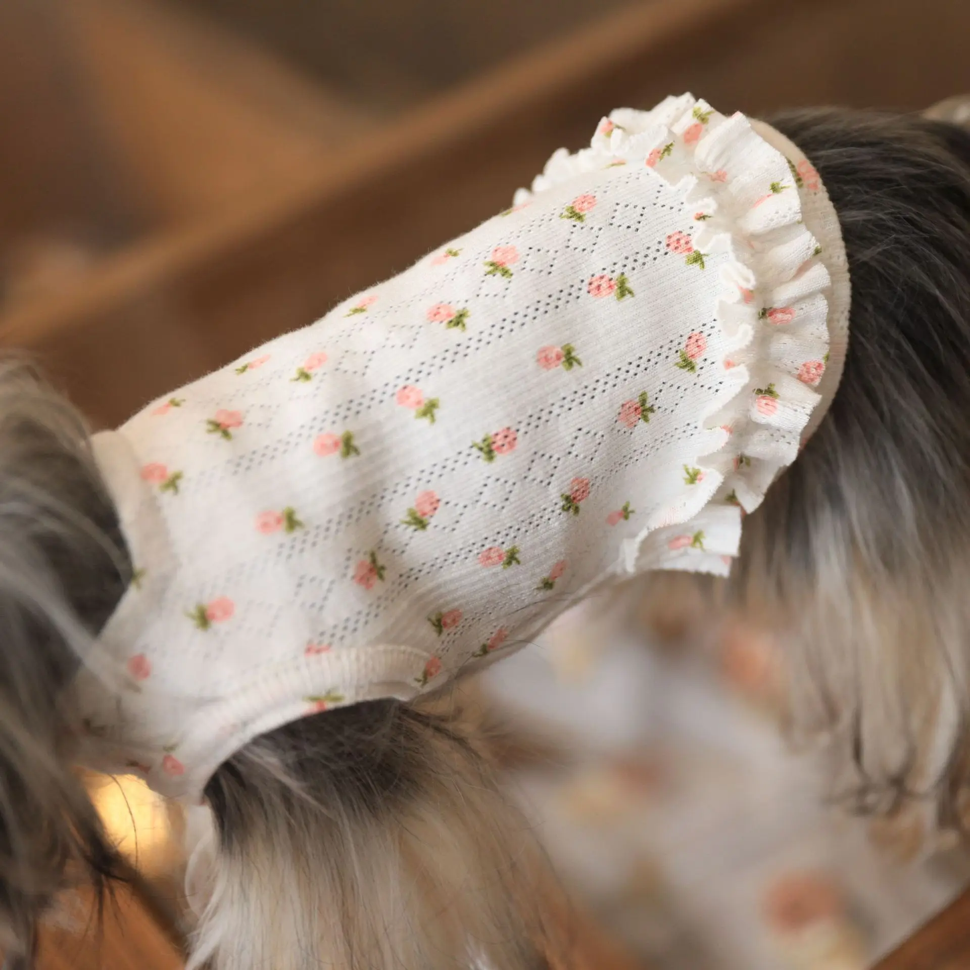 Mascota con la camiseta floral