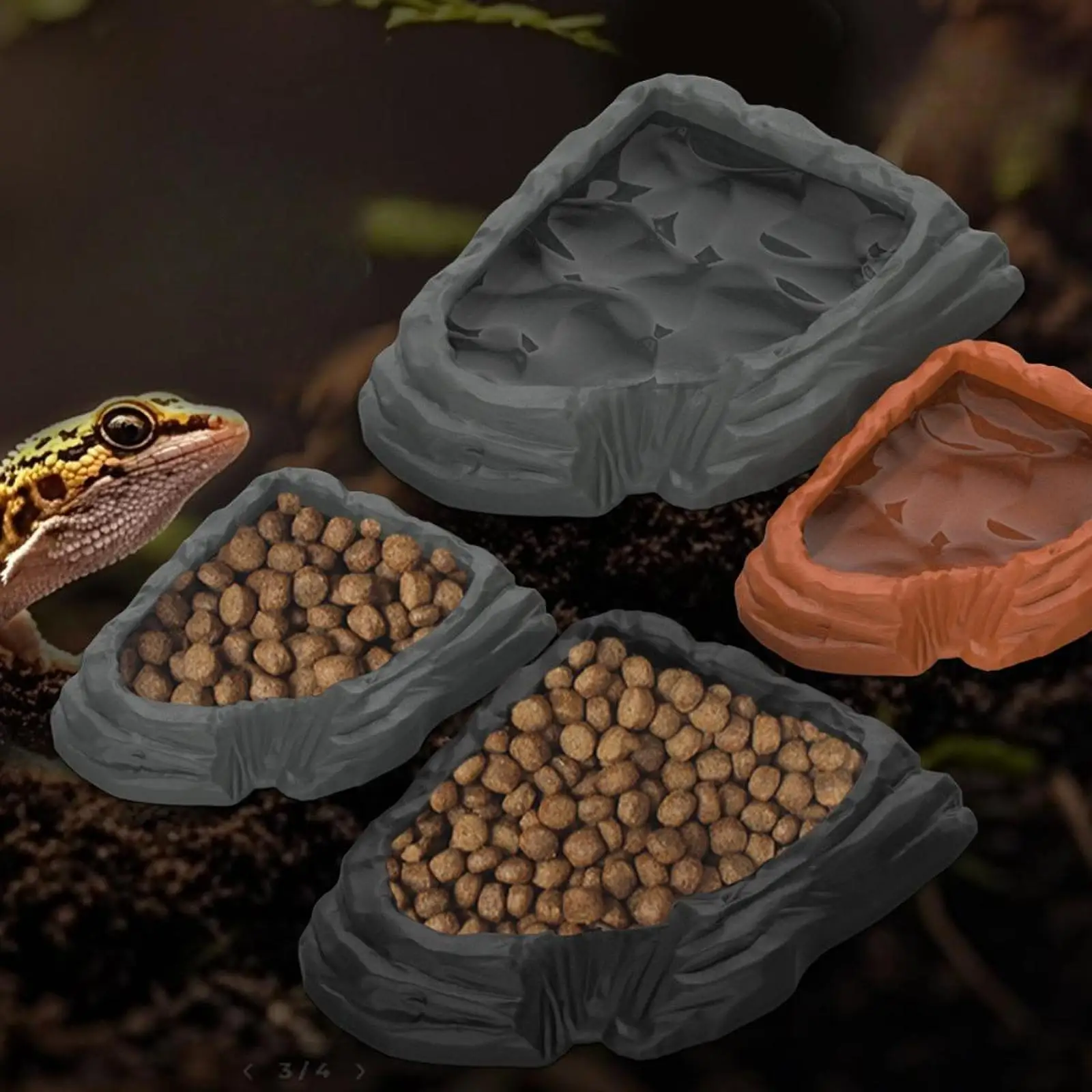 Cuenco de agua para reptiles en terrario