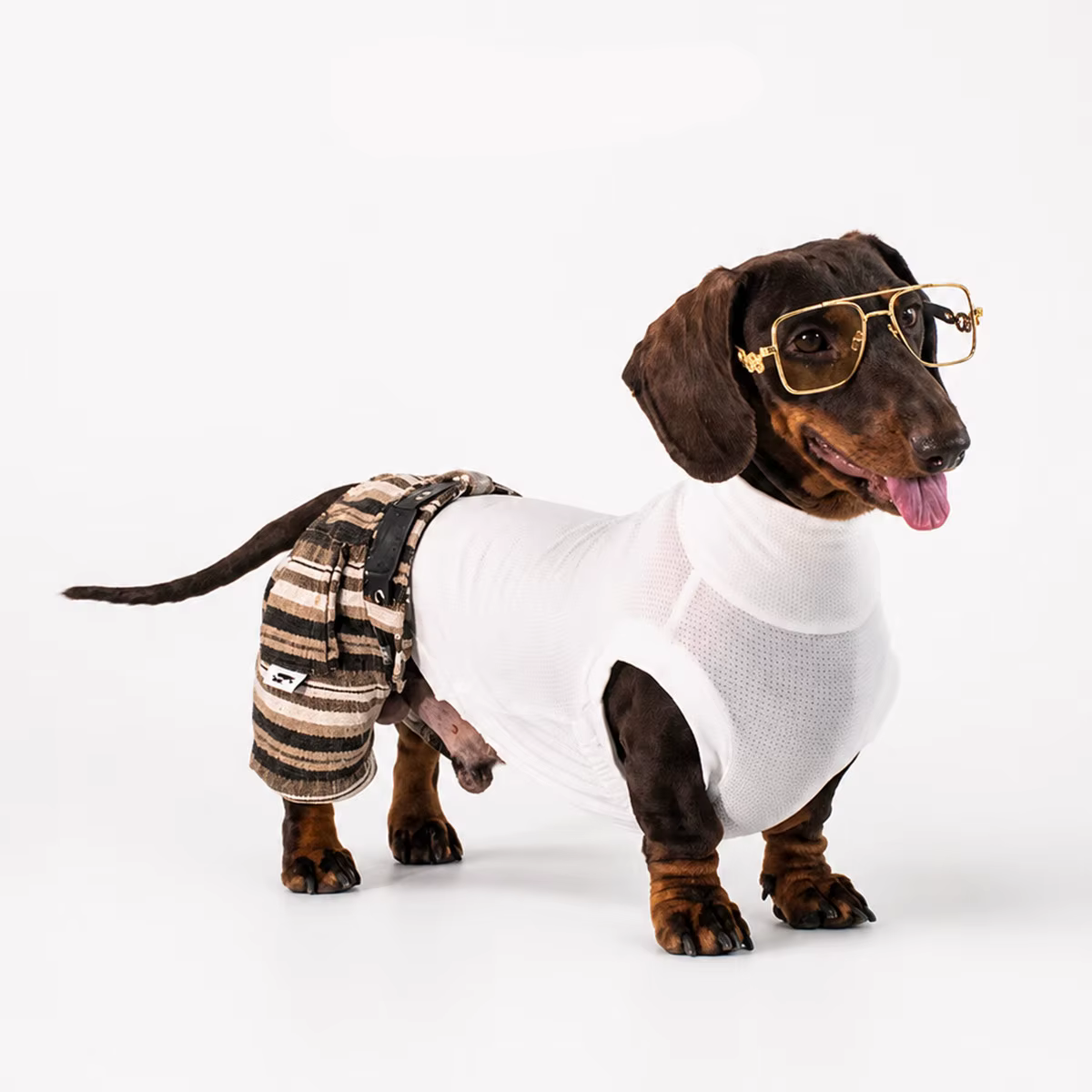 Chaleco sin mangas y pantalón para Dachshund, ropa de verano - imagen 4
