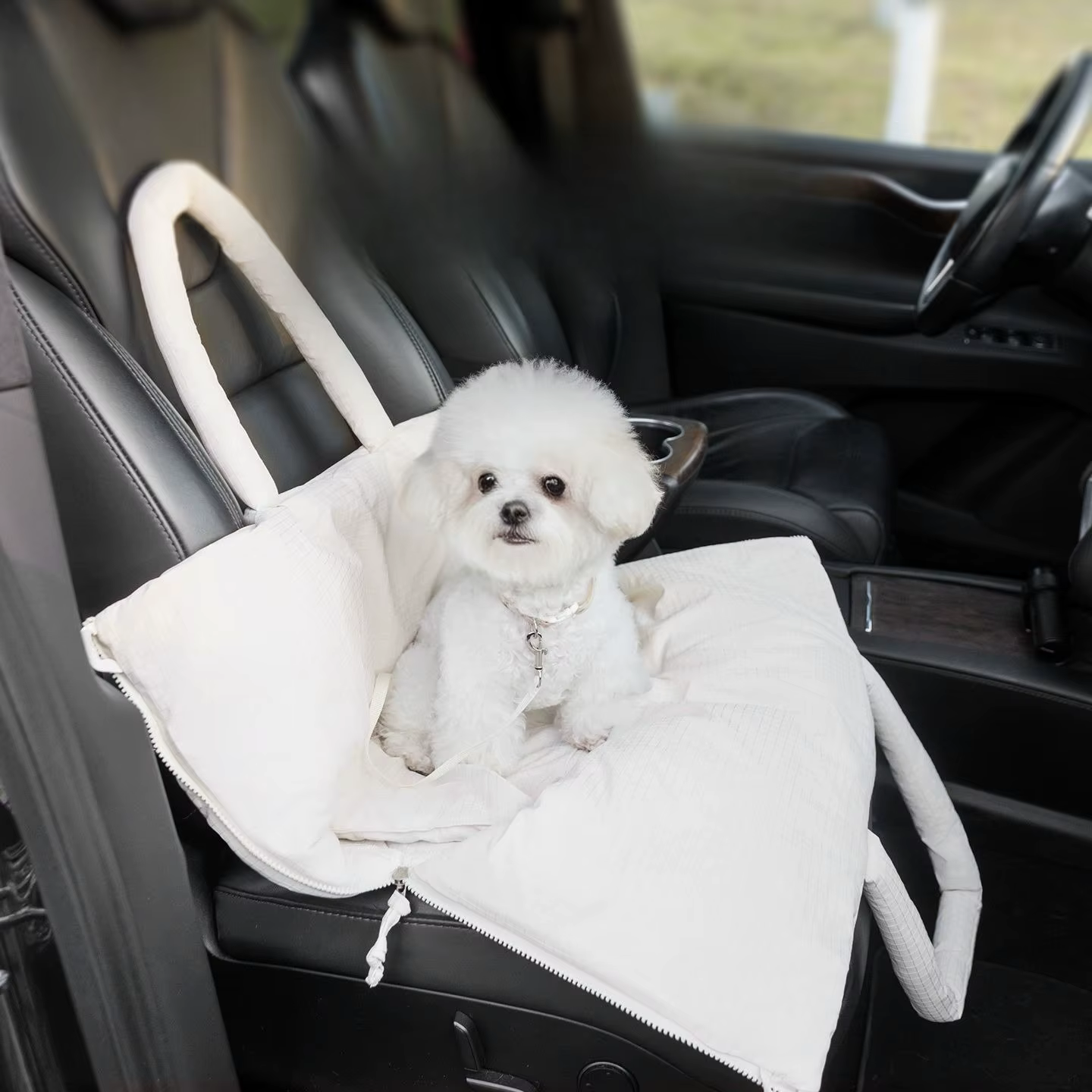 Cojín cama portátil para perros pequeños – Uso en exteriores - imagen 3