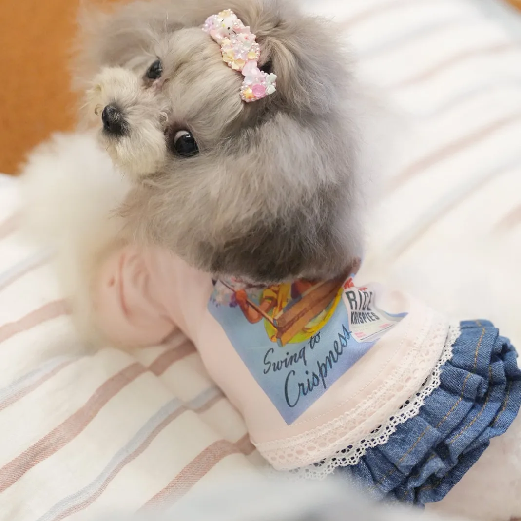 Ejemplo de puesta en un Pomerania