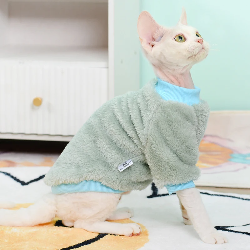 Gatito wearing rosa mono