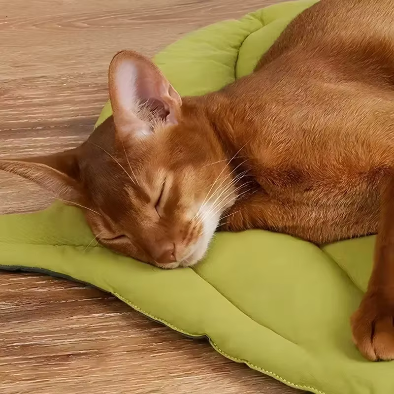 Cama cesta nido para gatos y perros pequeños - imagen 3