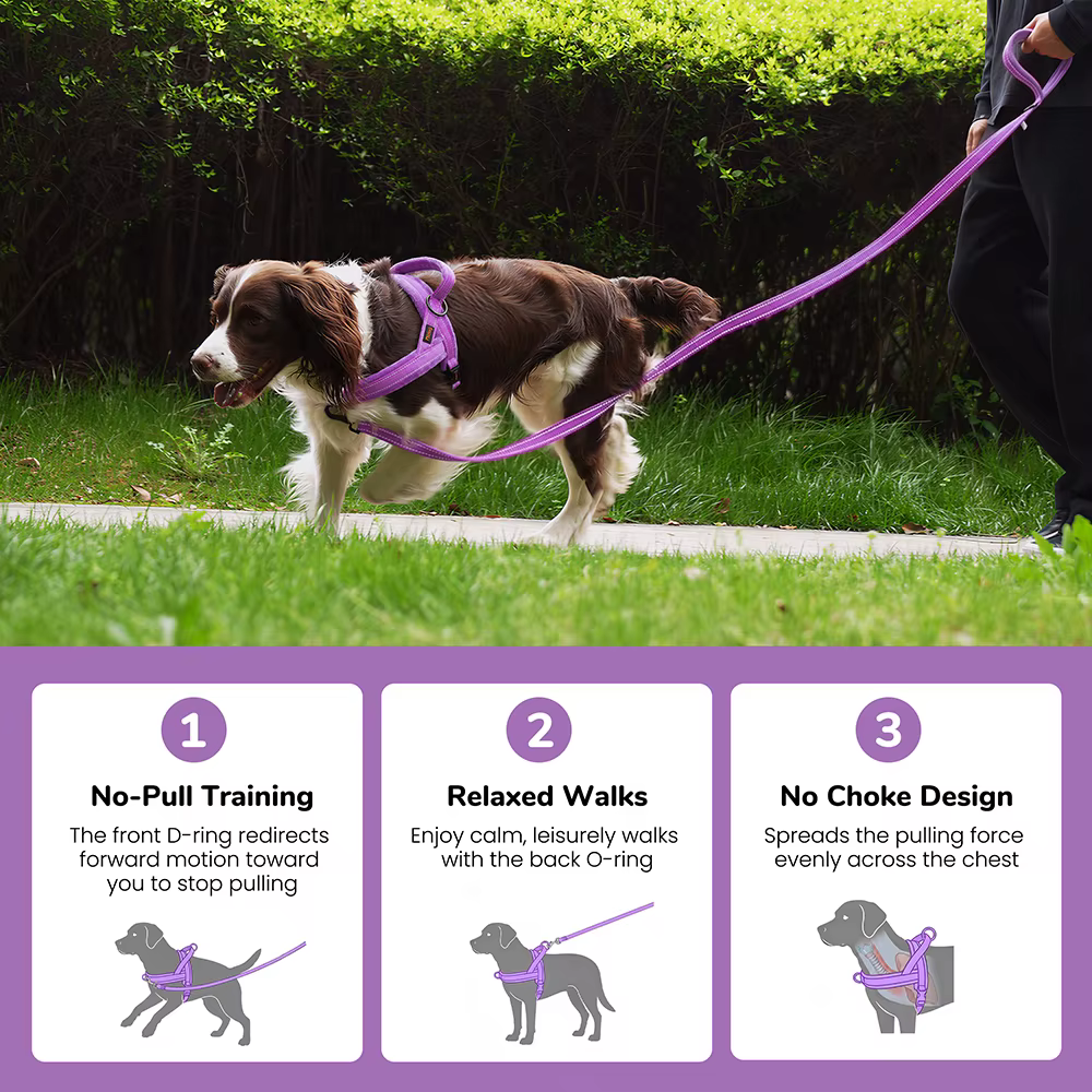 Arnés de pecho para perro antitirones – Chaleco acolchado reflectante - imagen 5