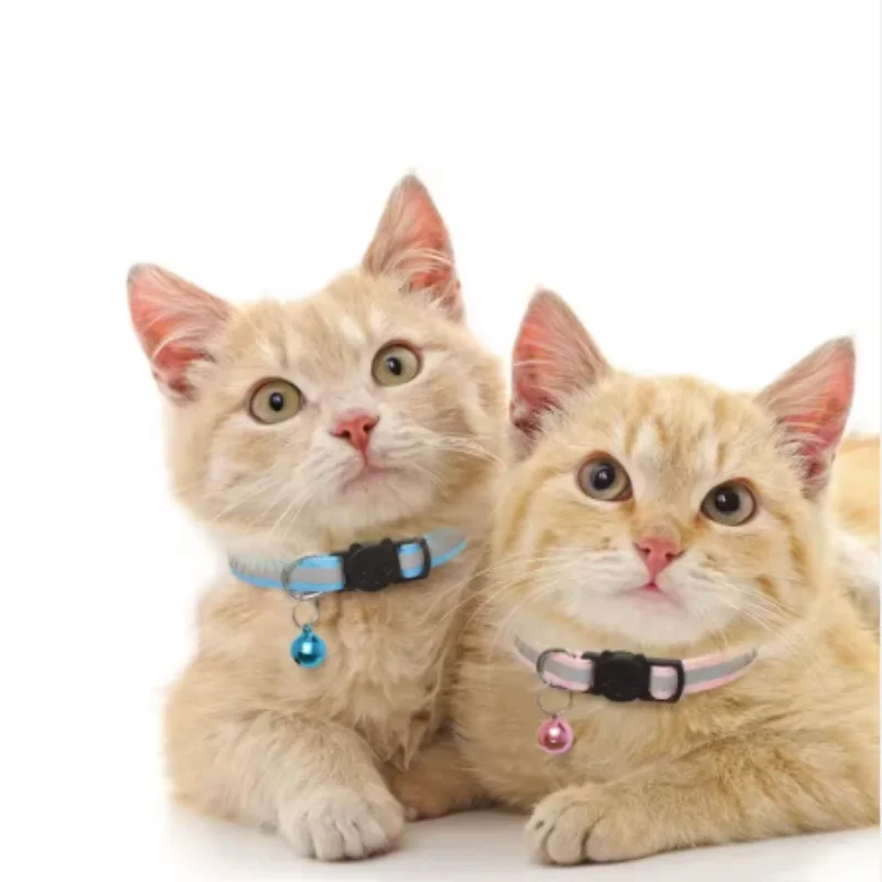 Collar reflectante ajustable con cascabel para gatos y cachorros - imagen 3