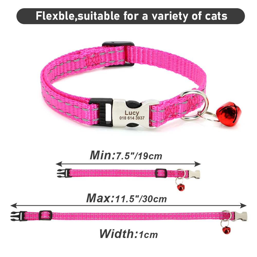 Mascota con collar rosa correctamente ajustado