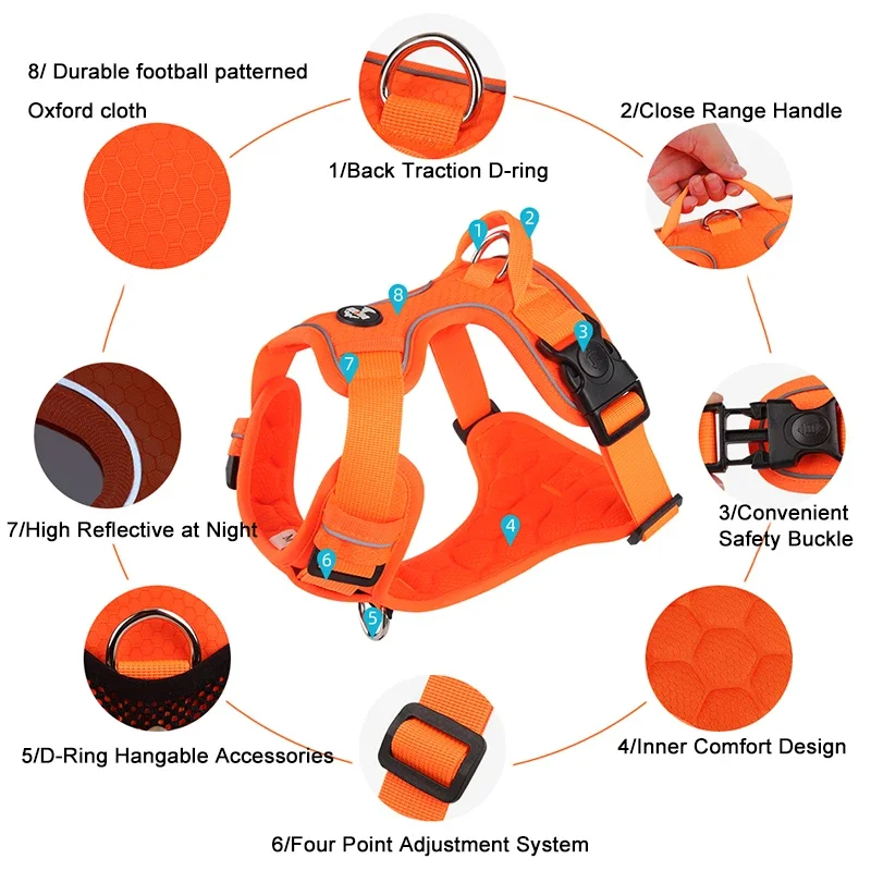 Detalle de color y cierre