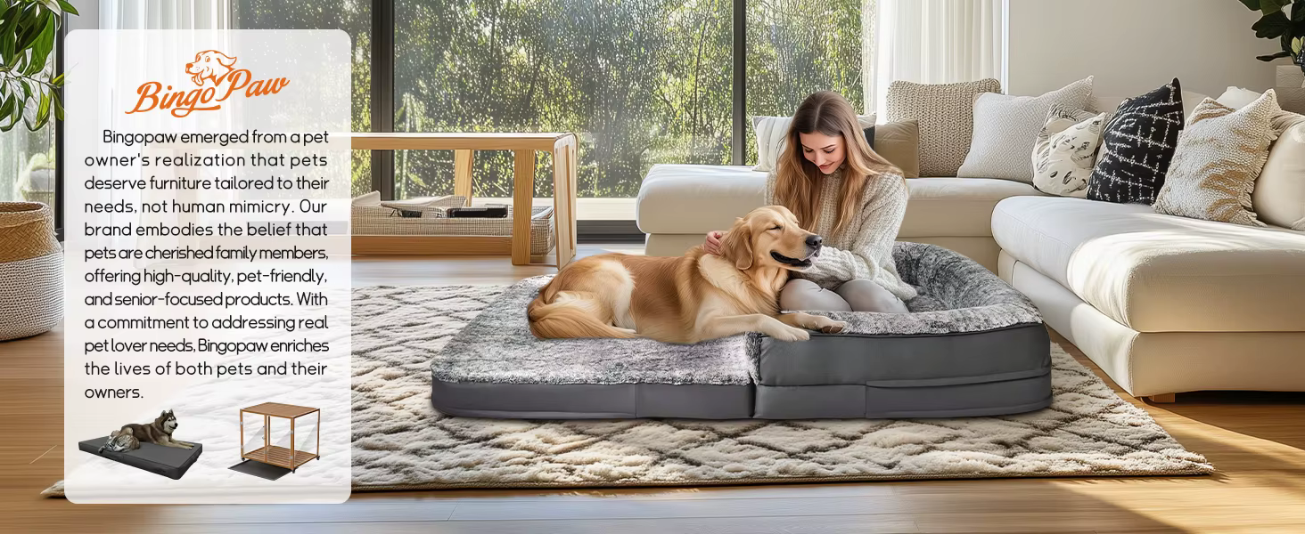 Cama plegable para perros y adultos sobre suelo gris