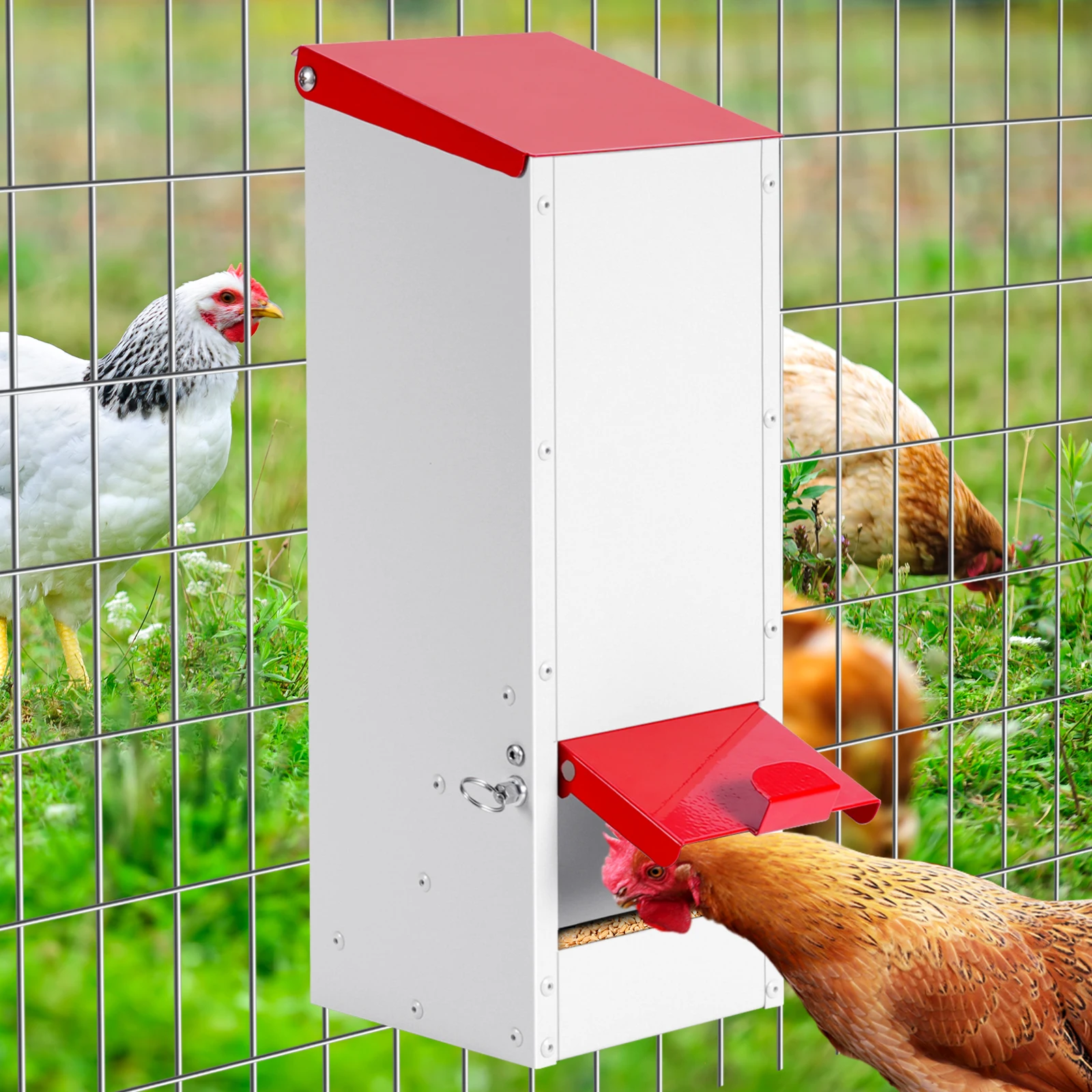 Comedero automático para aves de corral – Dispensador exterior con tapa abatible - imagen 5
